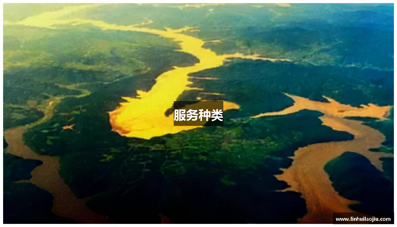 服务种类